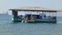 The Voodoo Floating Bar at Treasure Island