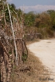Zambales Province