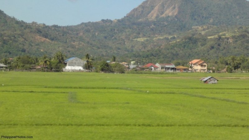 sctex-angeles-barrio-barretto-008