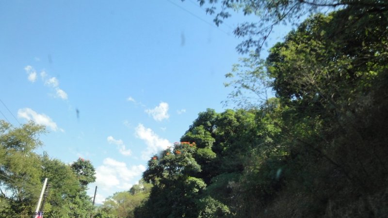 sctex-angeles-barrio-barretto-027